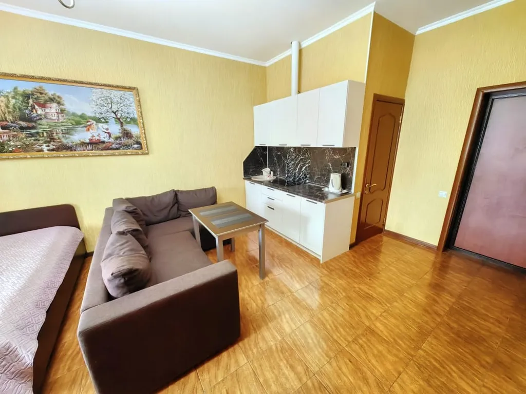 Квартира 1-комнатная Квартира — Сириус