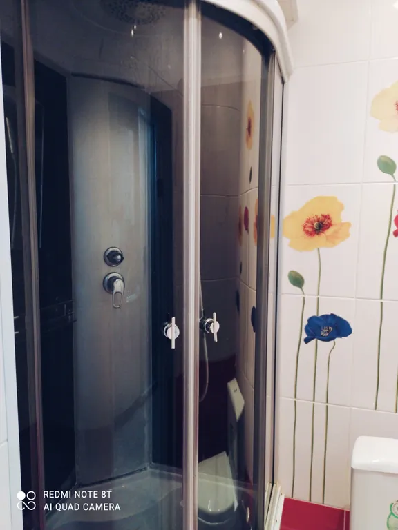 Студия в северном