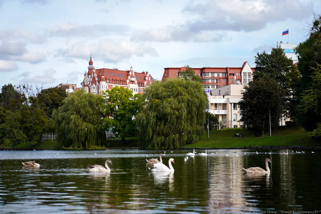 Квартира Квартира в центре города с видом на Нижнее озеро и Кафедральный собор — Калининград