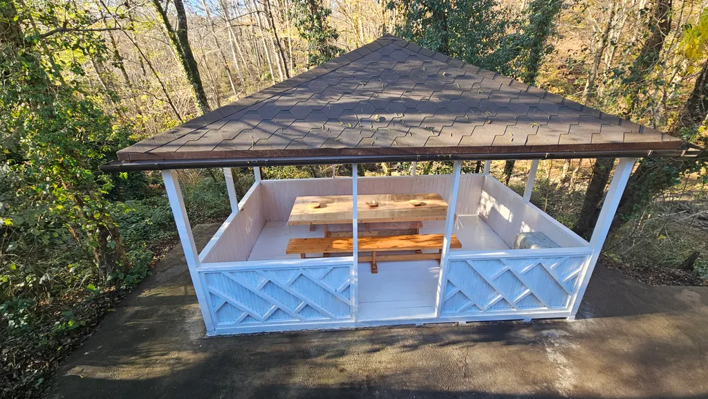 Коттедж с бассейном возле леса