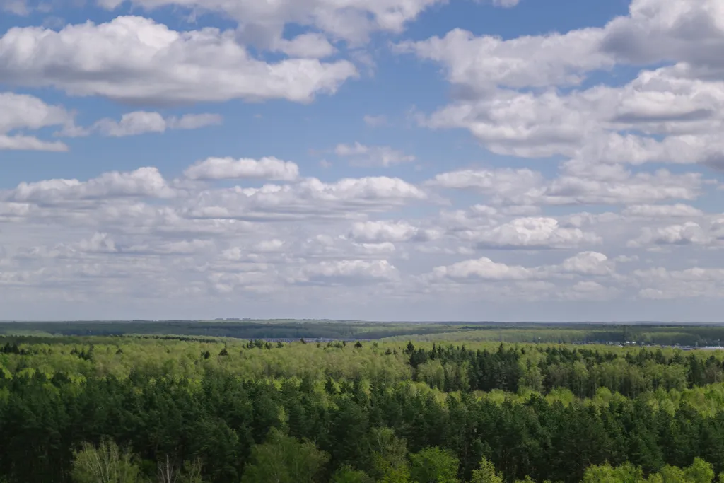 Новая квартира комфорт-класса у леса