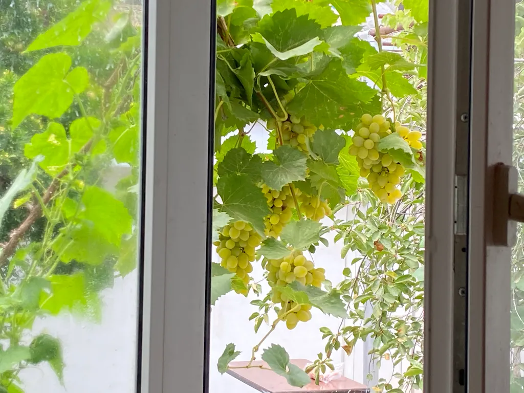 Коттедж Гостеприимный дом в исторической части ДЕРБЕНТА — Дербент