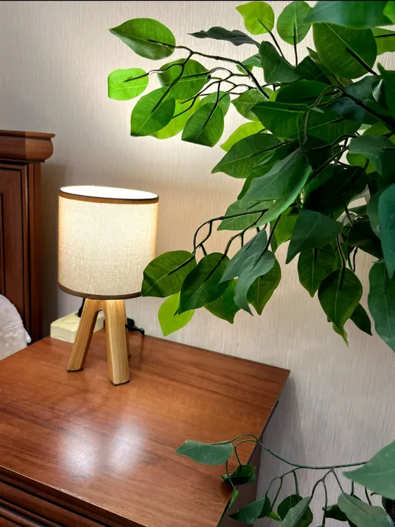 Квартира Апартаменты с красивым видом — Красноярск