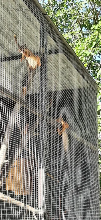 Квартира Квартира в центре с видом на море — Анапа