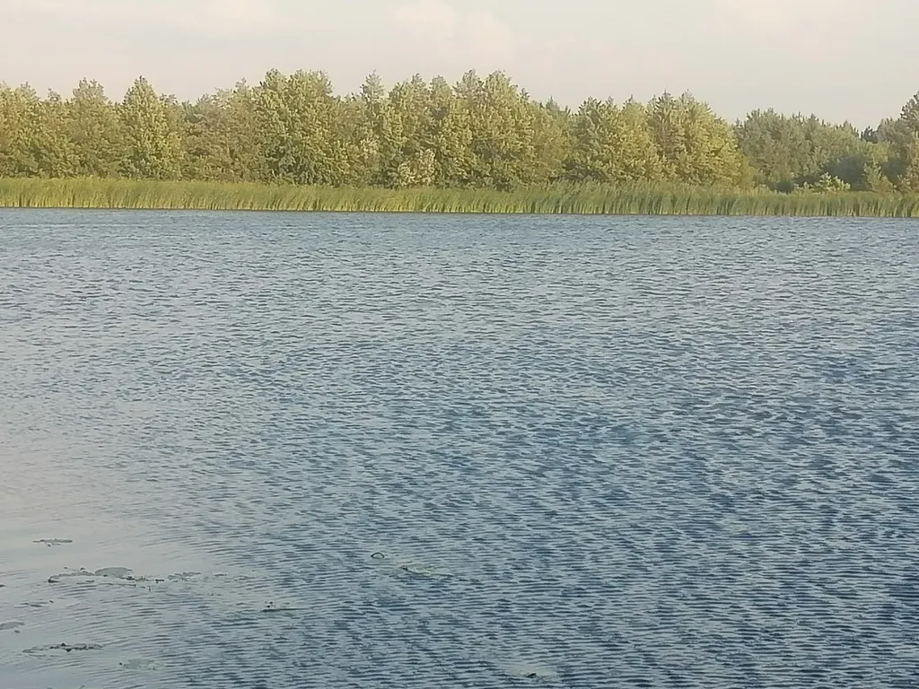 Дом с баней, бильярдом и бассейном