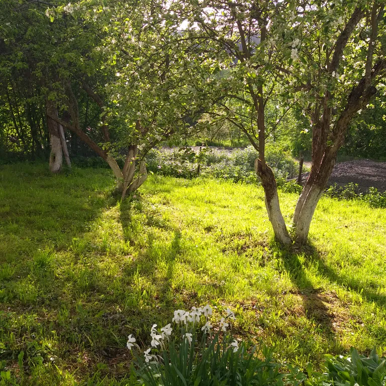 Дом на скале