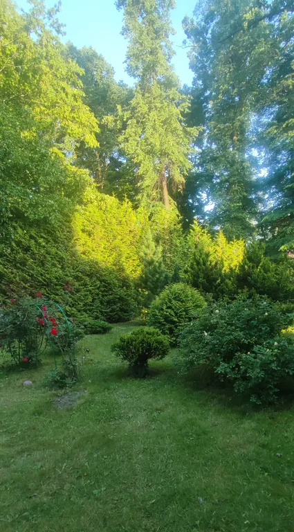 Весь первый уютный этаж с видом на природу