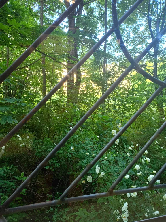 Квартира 3-комнатная Квартира — Колпино