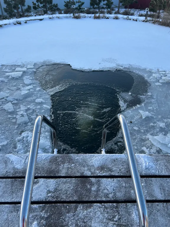 Дом с баней и камином в заповеднике