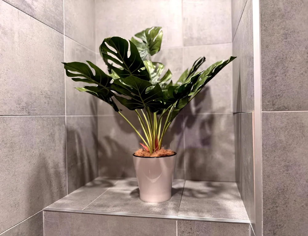 Люкс с видом на горы