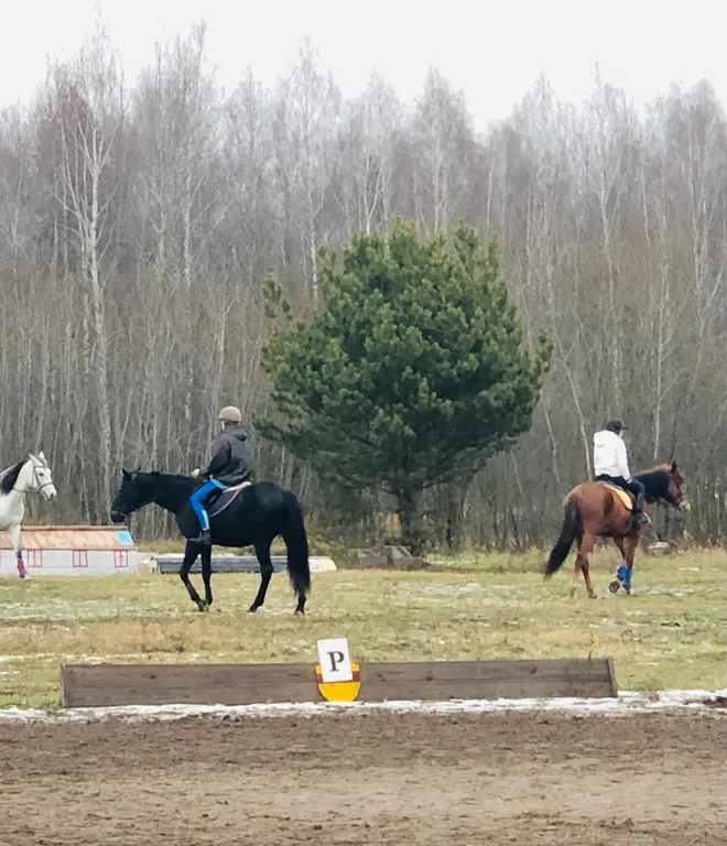 Коттедж Уютный дом в окружении живописной природы — Павловский Посад