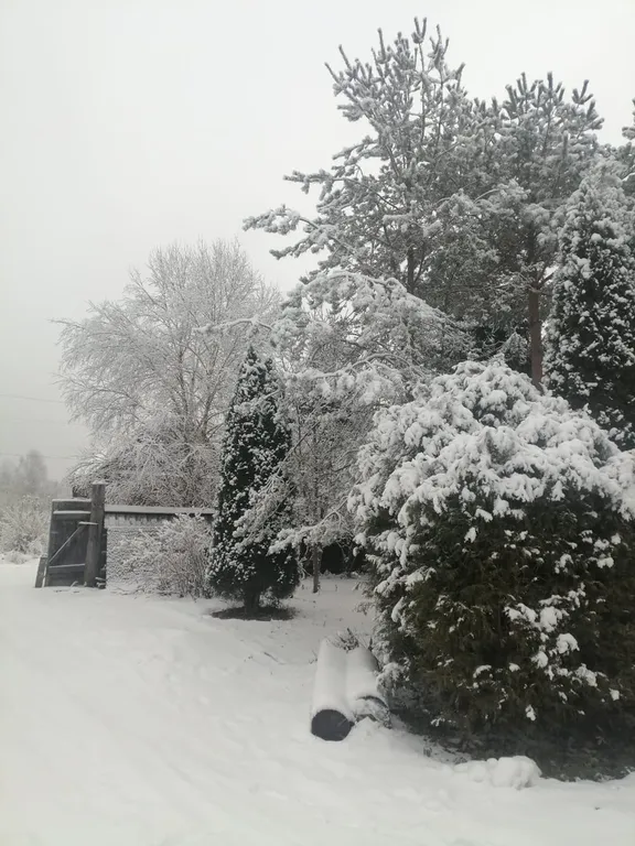 Домик в деревне