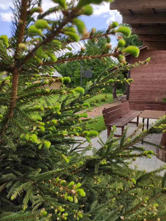 Просторный дом, для большой семьи и не только