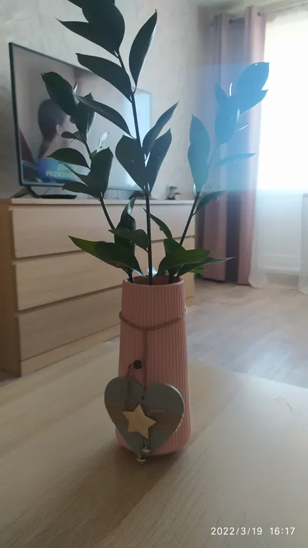 Вас здесь ждут