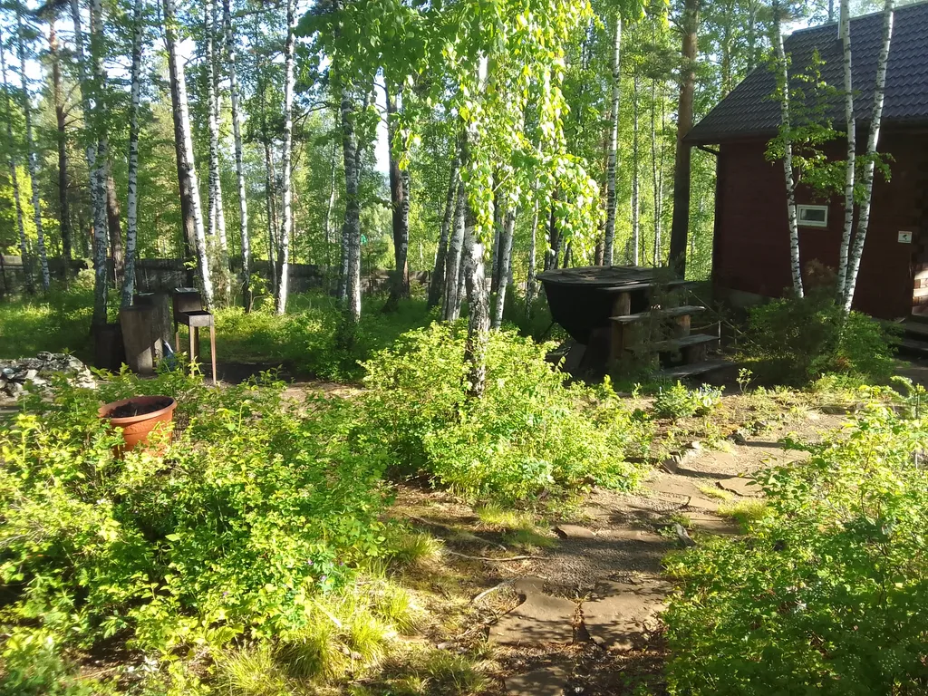 Дом с прудом в лесу, баня банный чан