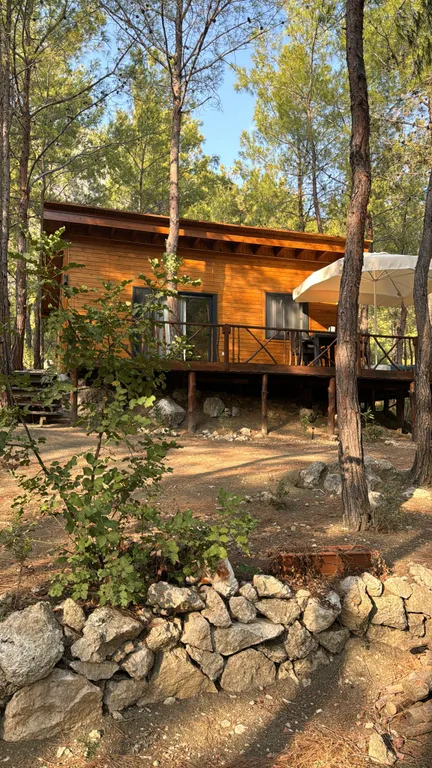 Коттедж Просторное эко бунгало в сосновом лесу на побережье Турции — аренда посуточно в Фетхие