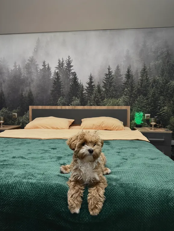 Гостевой ЭКО дом с чаном "СОВА"