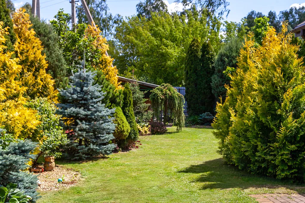 Коттедж 1-комнатный Дом — аренда посуточно в Брест