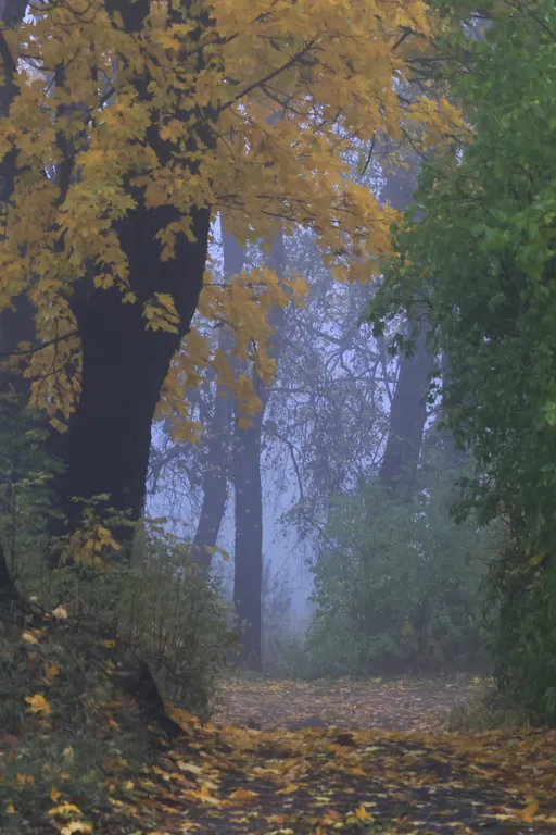 Загородная усадьба