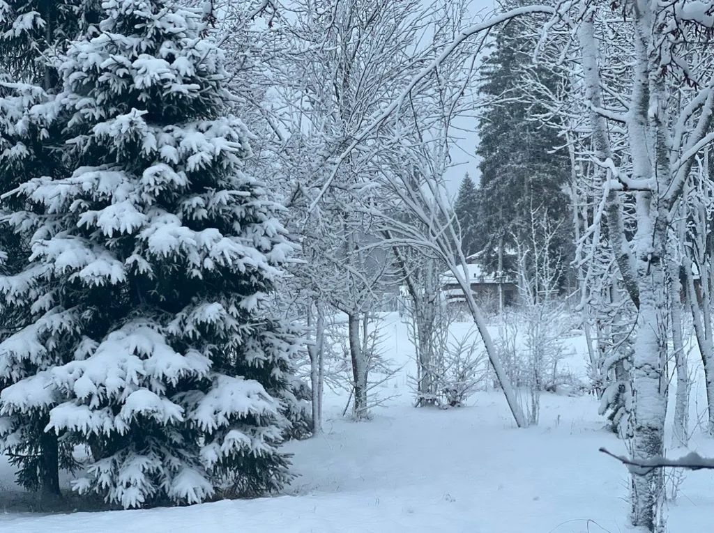 Уютный дом A-Frame в лесу