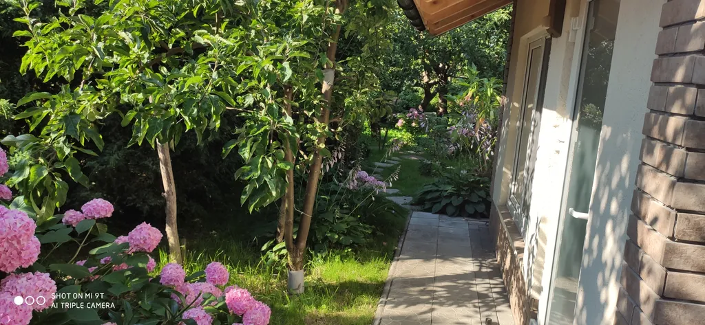 Светлая и просторная студия в чудесном саду для отдыха под шум моря