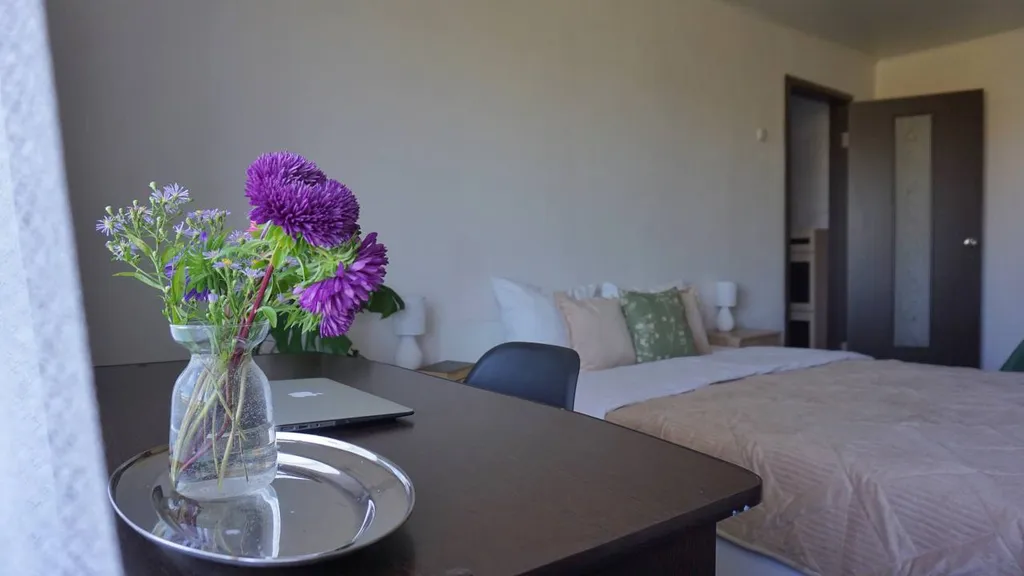 Однушка в историческом центре