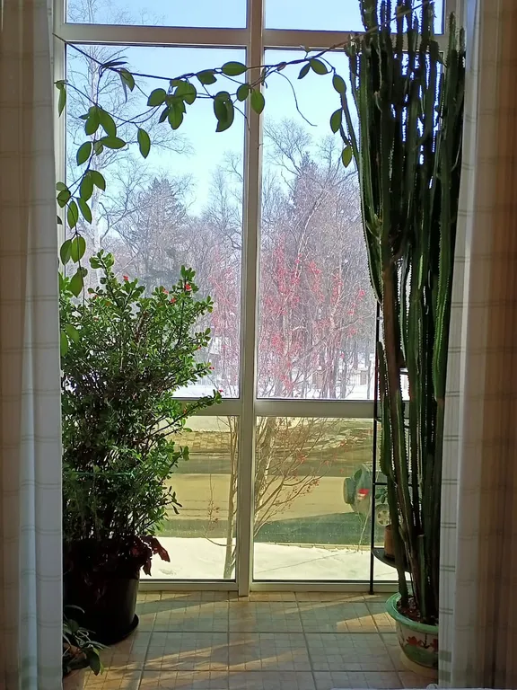 Вид на музей в традиционном японском стиле