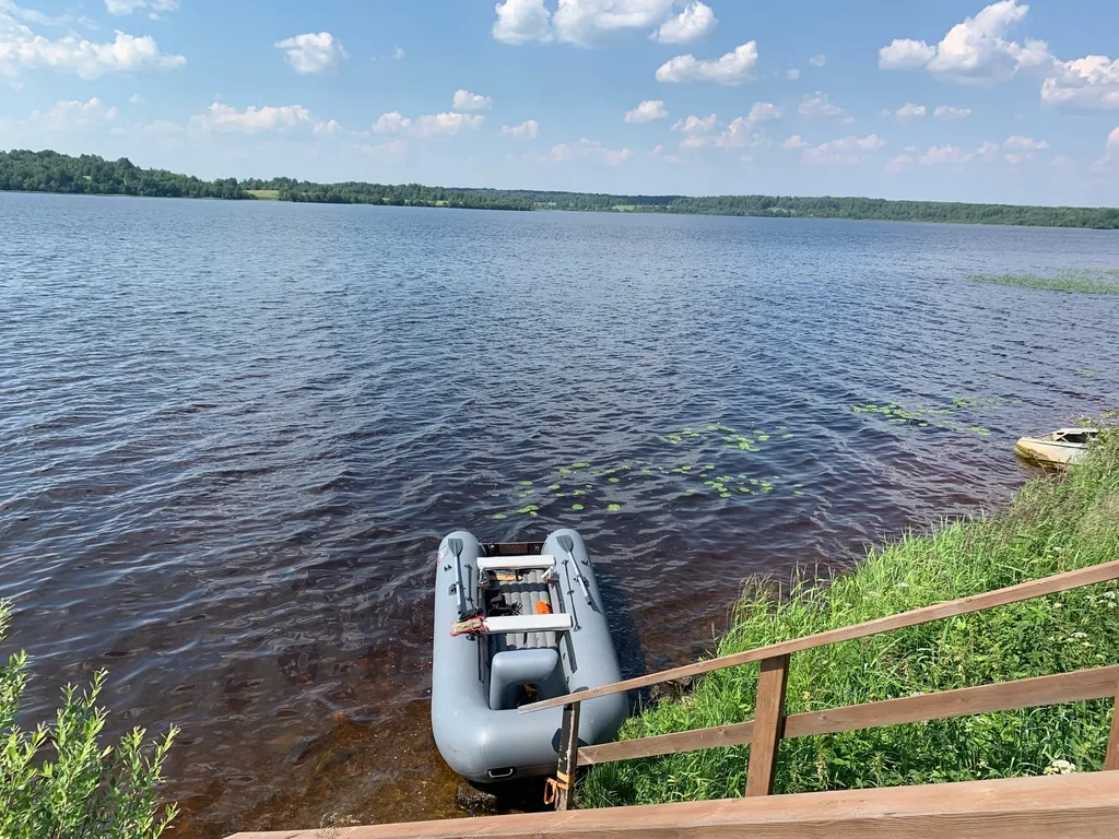 Коттедж Коттедж на берегу озера,рыбалка и отдых всей семьей! — Родионово