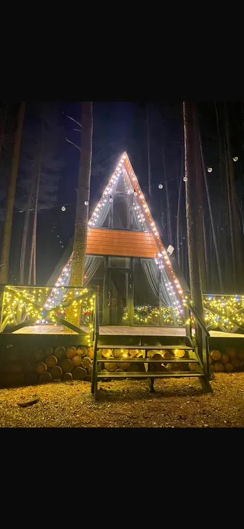 Уютный дом а-фрейм в сосновом лесу