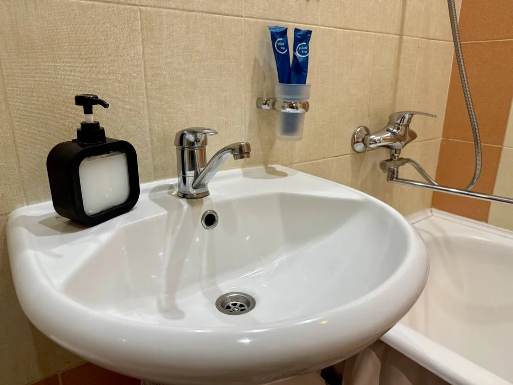 Однушка Пушкин в центре