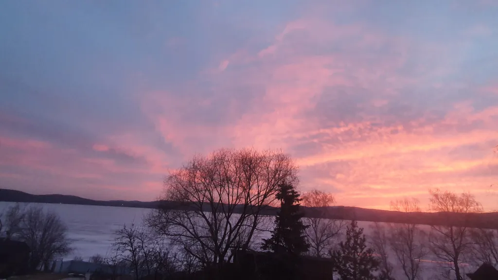 303 Студия комфорт