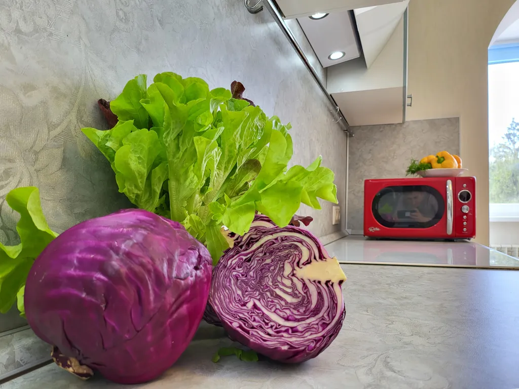 Венецианская Регата