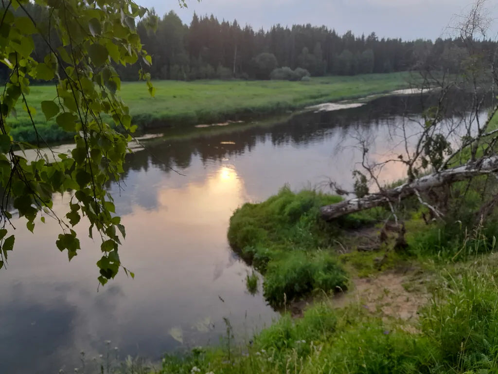 Авторский домик В ЛЕСУ - "Карельский"