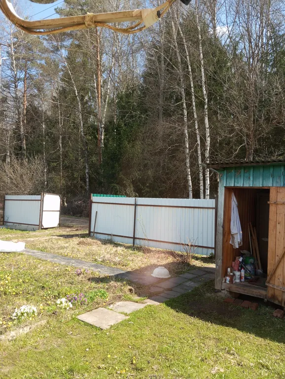 Домики у леса