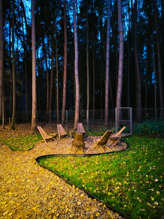 Стильный Барнхаус со вторым светом с видом на сосновый лес