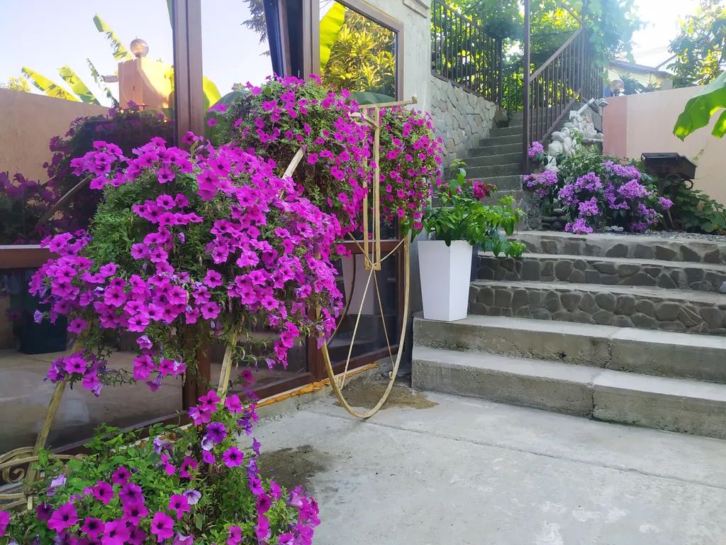 Квартира Комната — Адлер