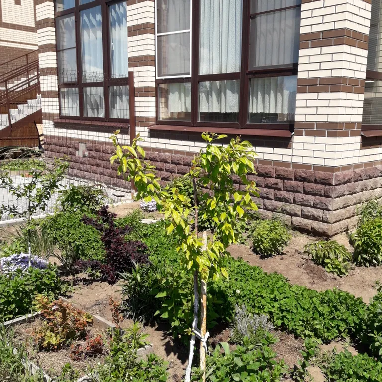 Светлые апартаменты в Солотче