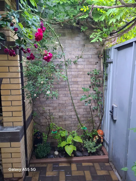 Двухкомнатный уютный дом со двором до моря 5 минут пешком