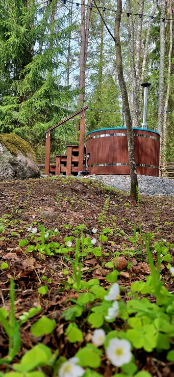 Уютный коттедж на берегу великолепного озера Ханкасъярви