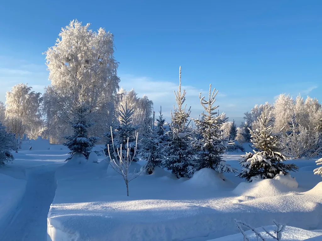 Озерный домик на Онего