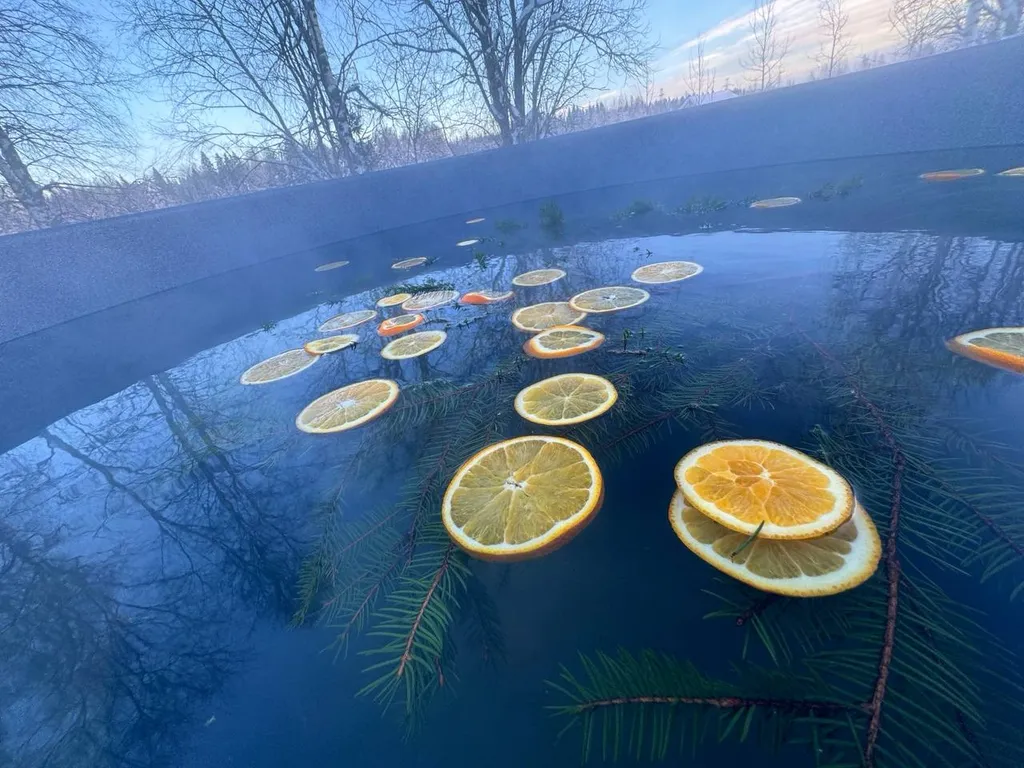 Дом по Выборгом