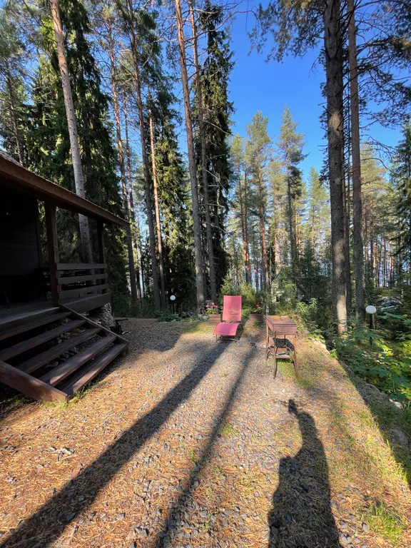 Карельская Дача Уютное шале с камином в сосновом бору, берег Сямозера