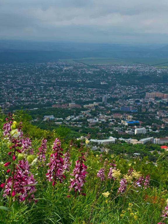 Уютная новая квартира в центре