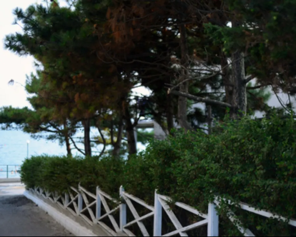 Уютный трёхместный номер на берегу моря