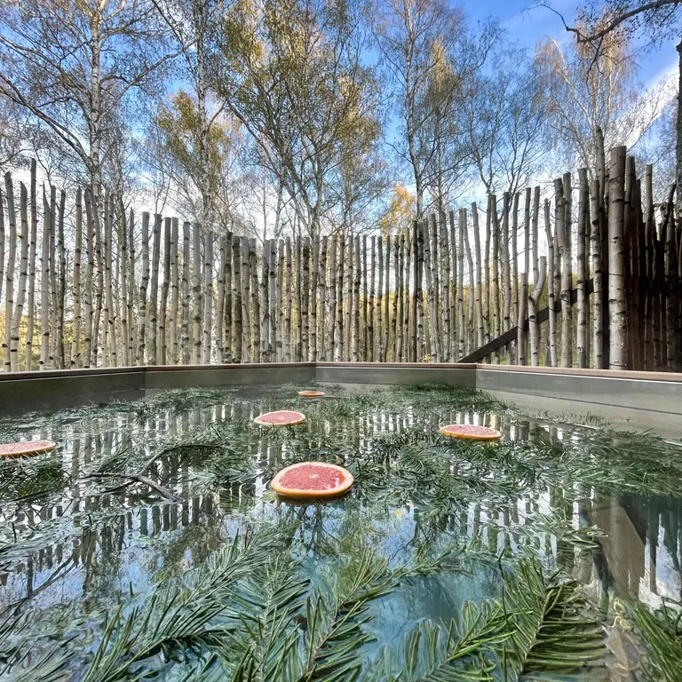 Коттедж 2-комнатный Дом — Кашира