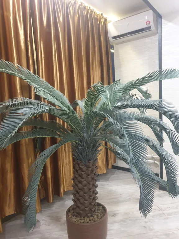 Джакузи у Аэропарка