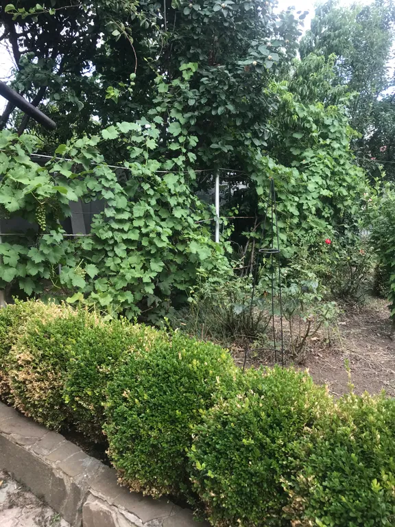 Коттедж Уютный домик с садом — Ейск