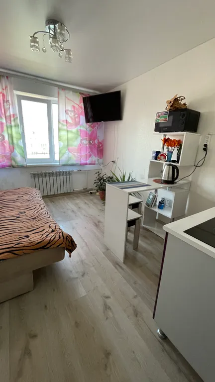 Вид на мост, за мостом центр города