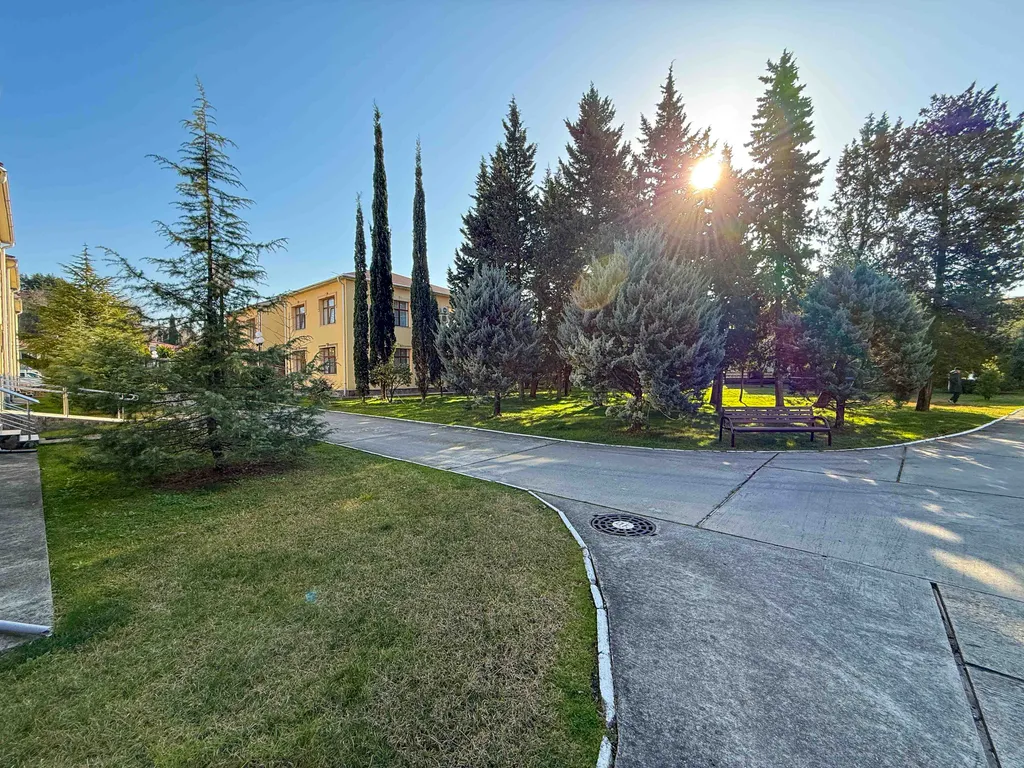 Орхидея парк Альфагид