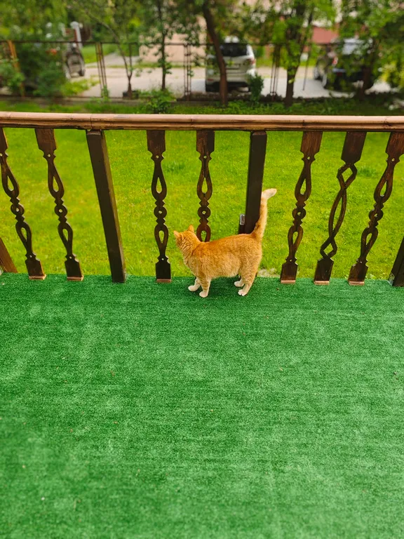 Квартира Трёхкомнатные апартаменты с террасой в немецком особняке — Калининград